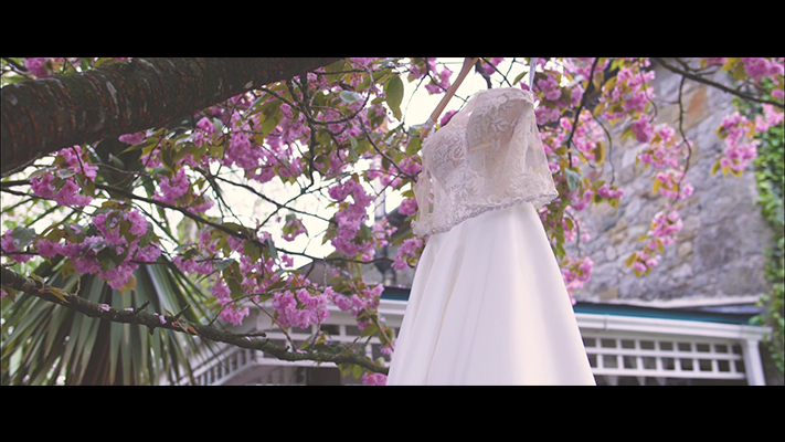 Hannah and Alan Cinematic Wedding Video Film, Ireland